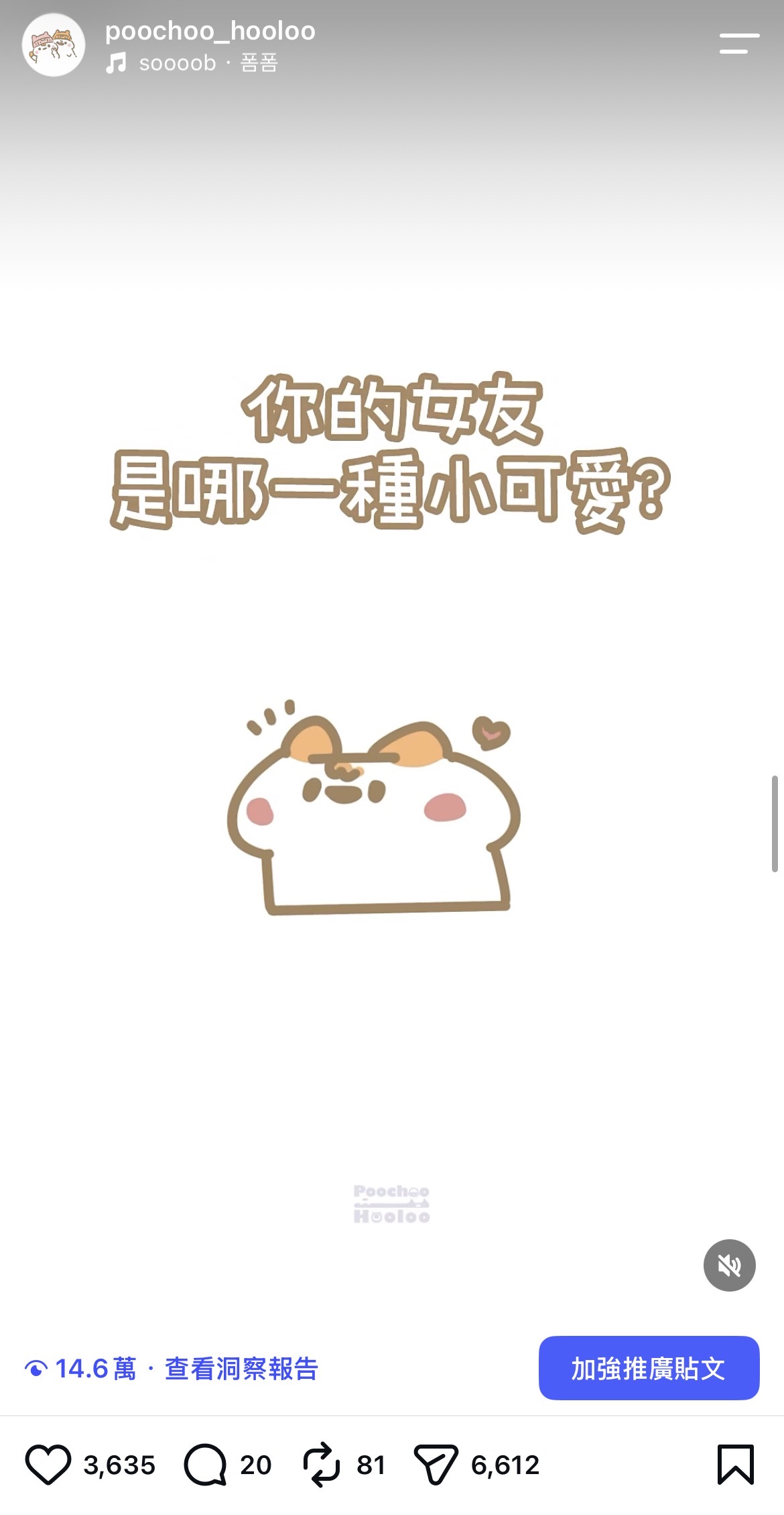 文章圖片